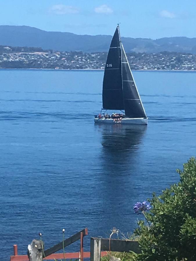 Beach Buoy Opossum Bay South Arm Eksteriør bilde